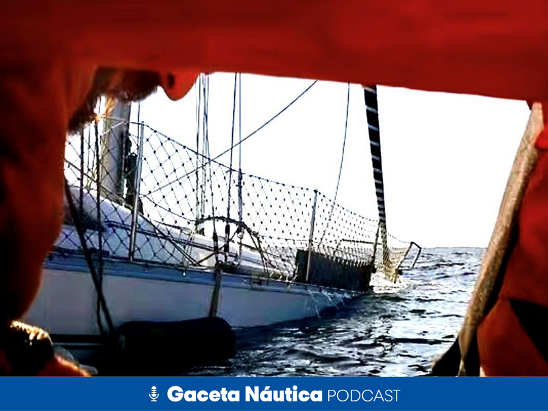 Cómo influye el color de los antifouling en los ataques de las orcas