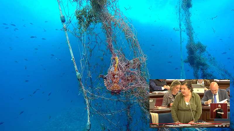 600 metros de redes fantasma de los que la Conselleria no sabe nada