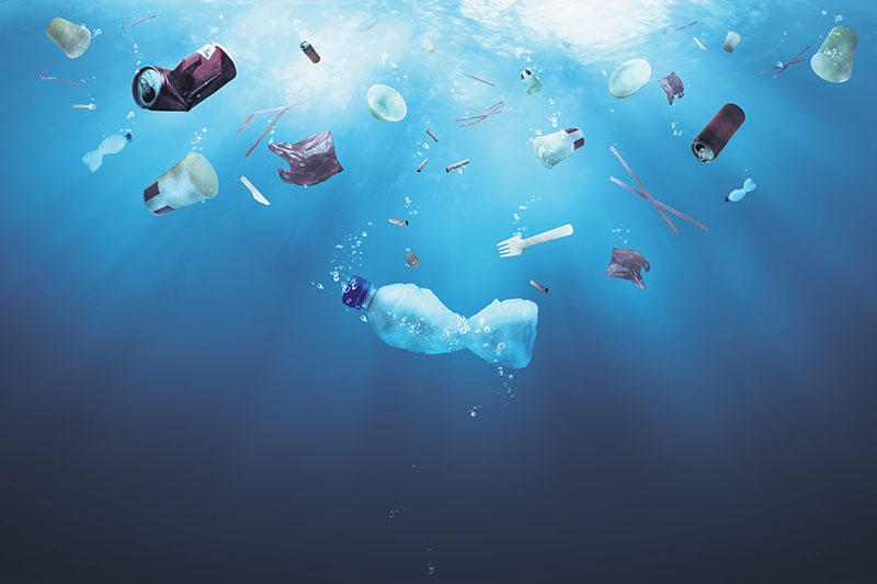 El cáncer de los océanos