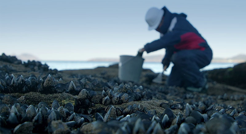 Nuevos contaminantes: la ignorancia que nos amenaza