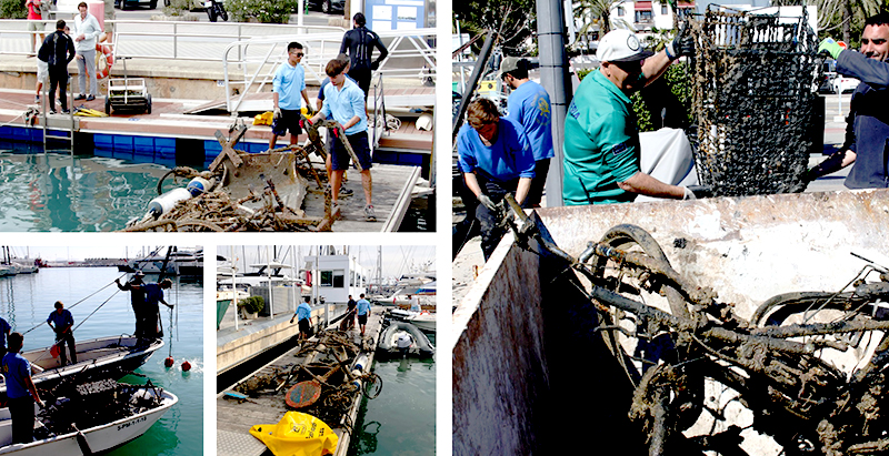 Las marinas se ‘mojan’ por el mar
