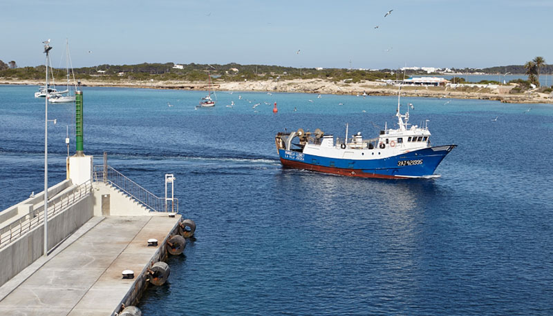 “Aunque nos cueste dinero a nosotros, hay que sacar las redes fantasma sea como sea”