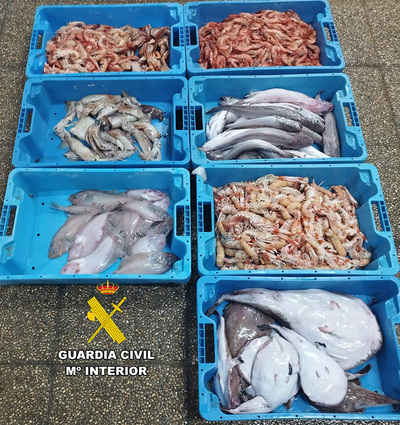 Interceptados 33 kilos de pescado y marisco ‘pirata’ en Sant Antoni