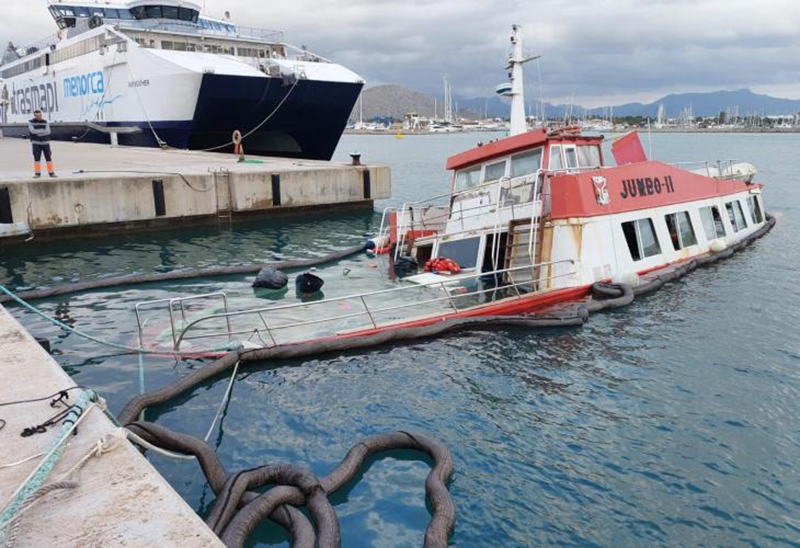Se hunde en Alcúdia una golondrina abandonada