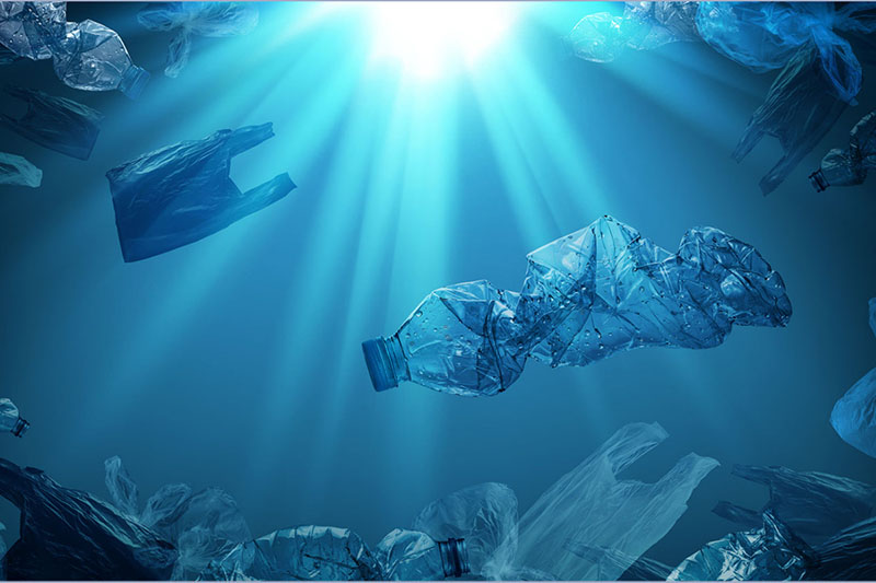 Vertidos, elecciones y utopía