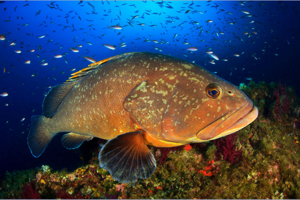La amenaza ha acabado, vamos a defender lo nuestro