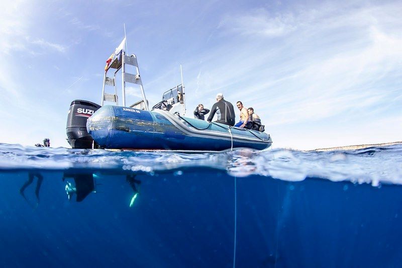 Los buceadores ayudan a conocer la salud de nuestro mar