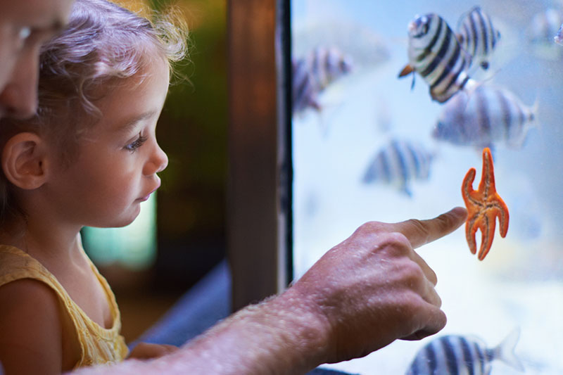 Educación Azul: el futuro está en el mar