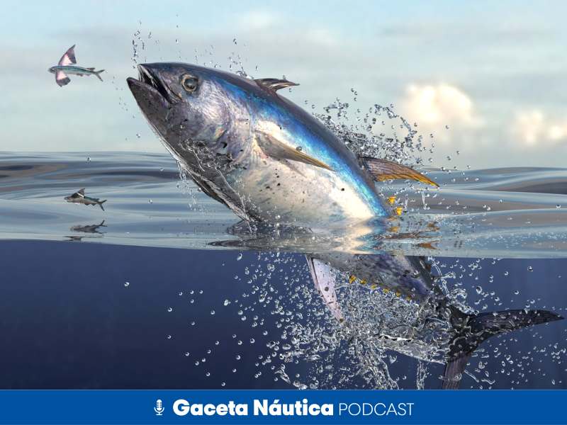 El “efecto Instagram” provoca el cierre de la veda del atún rojo