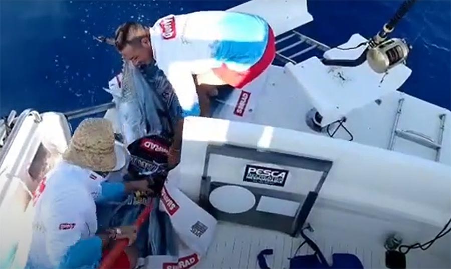 Captura, marcaje y suelta de atún rojo en Mallorca