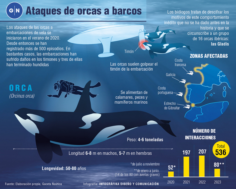 ¿Cómo podemos evitar los ataques de orcas?