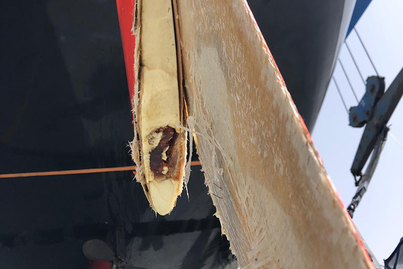 Las orcas Gladis atacan a un velero de la Copa del Rey