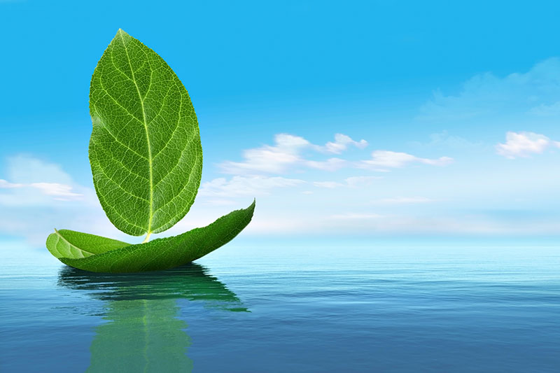 La descarbonización del mar es imposible, de momento