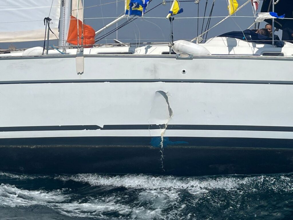 Un kamikaze en la Bahía de Palma