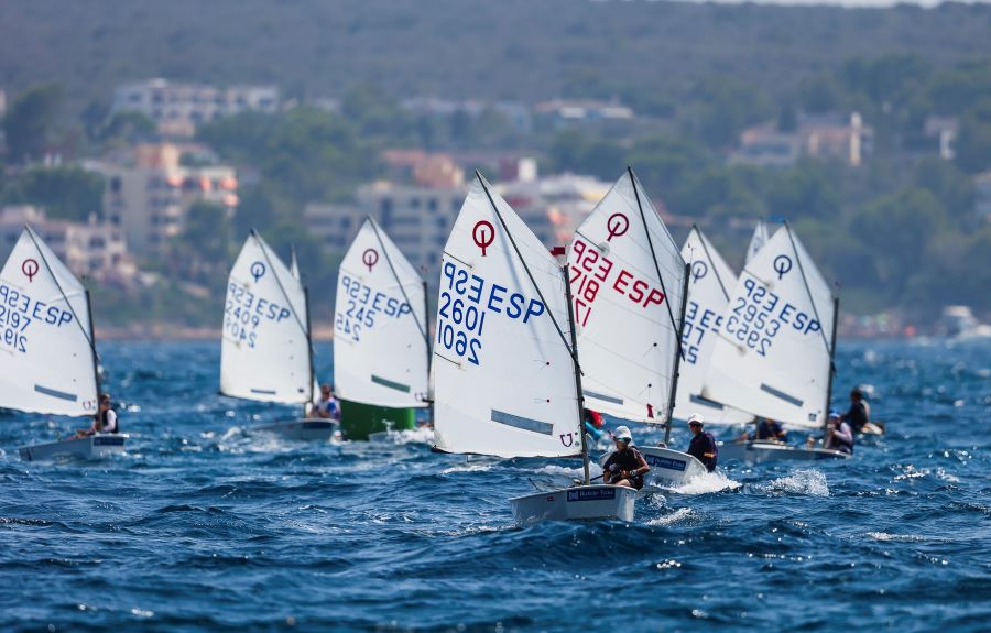El Gran Día de la Vela – Bufete Frau corona a sus primeros ganadores