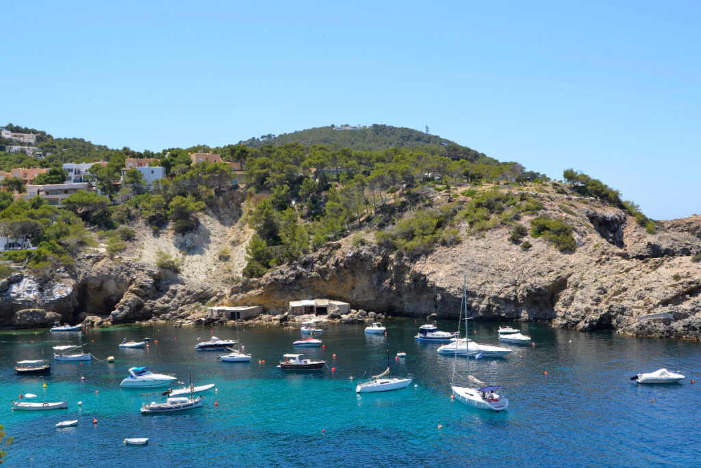 “La legalización del alquiler privado provocará una avalancha nunca vista de barcos en Baleares”