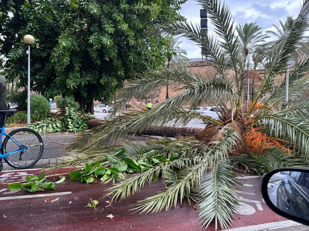 Imágenes del temporal en Baleares