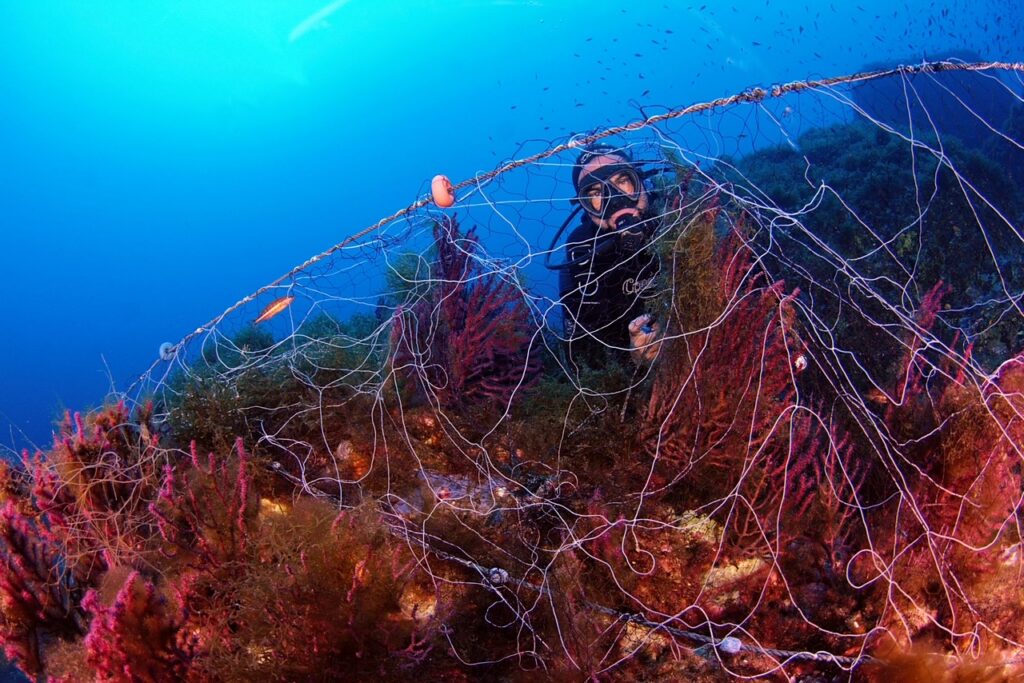 Redes sobre las gorgonias en Formentor