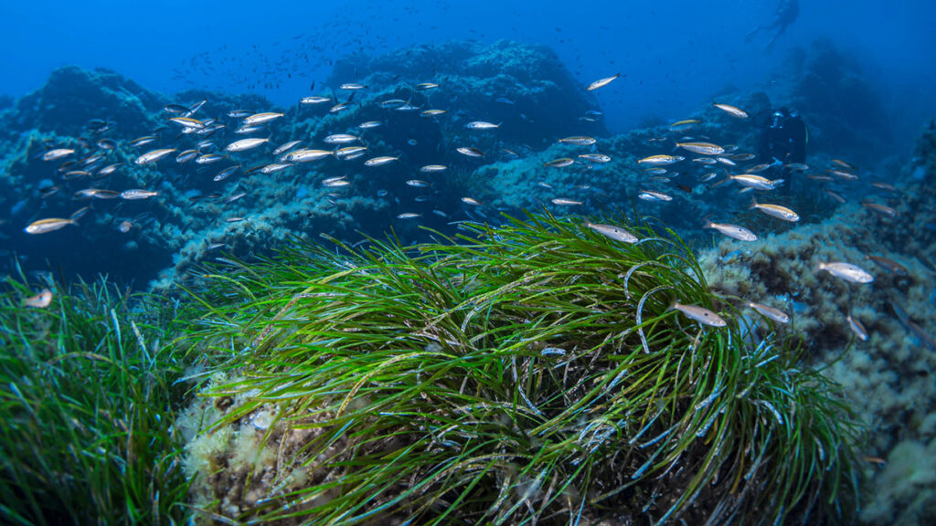 100 días de la legislatura del agua
