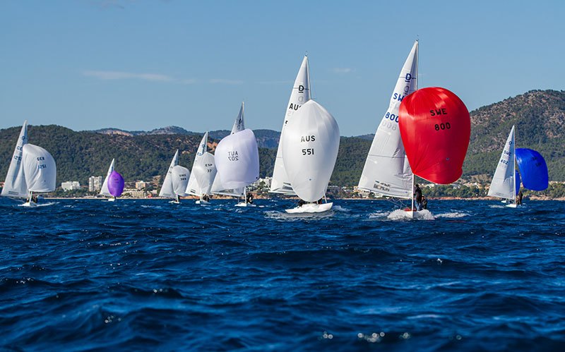 Miss Behavior gana la segunda batalla de Dragones