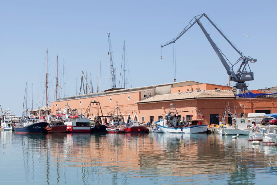 La Federación Balear de Cofradías de Pescadores elegirá mañana a su presidente