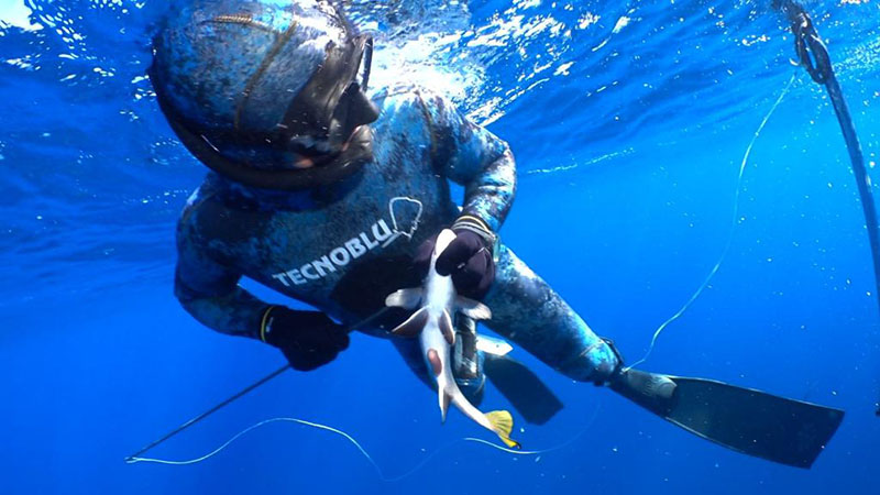 Cervantes y Tomás, los mejores en el Memorial Nacho Fernández