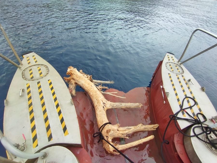 El servicio de limpieza del litoral saca del mar 27,81 toneladas de residuos