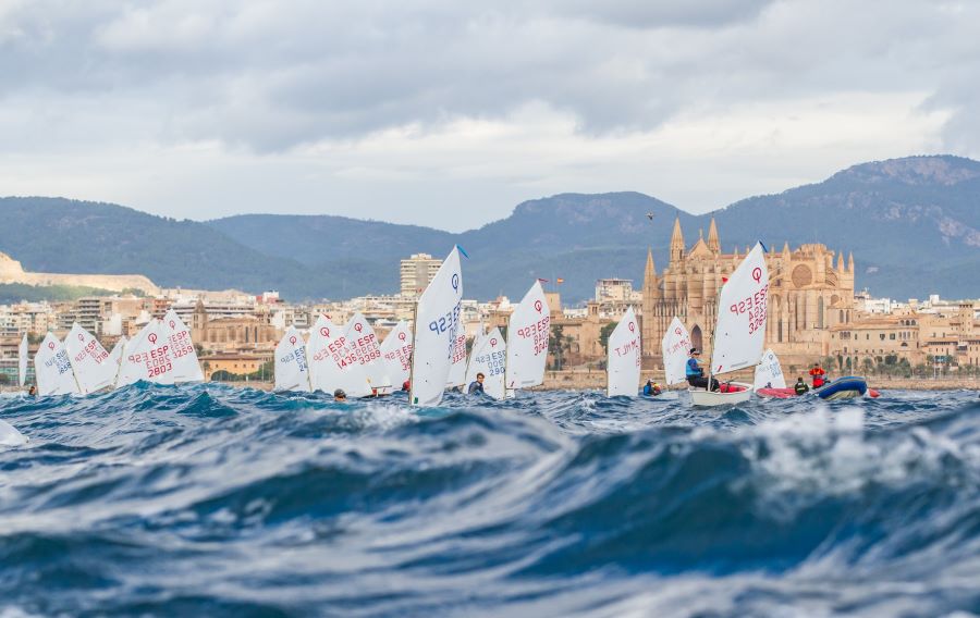 La Bahía se prepara para su Ciutat de Palma más internacional