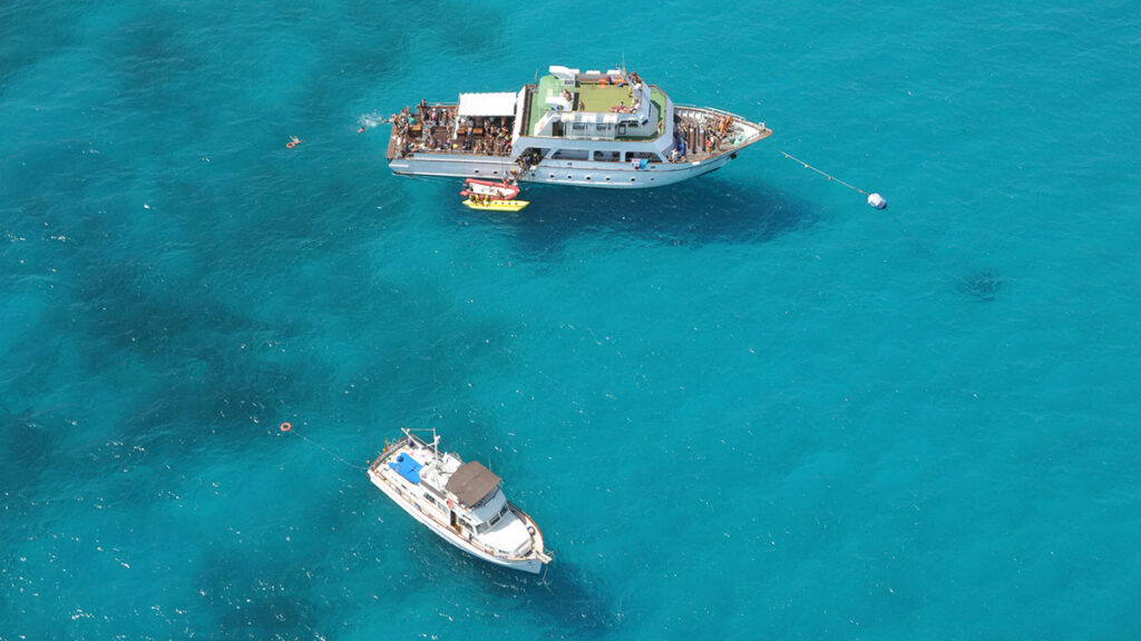 La dama de las sombras