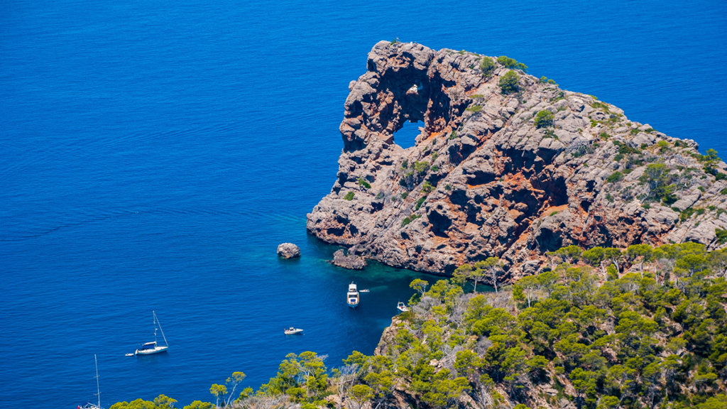 La Comisión de Medio Ambiente contra el fondeo: “Las sombras de los barcos afectan a la posidonia”
