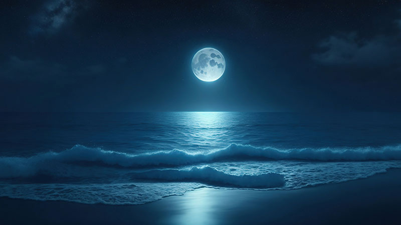 La luna, protagonista inesperada en la proliferación del atún rojo