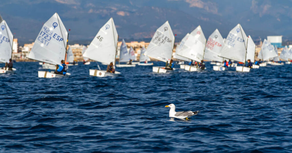 La regata Pro-Rigging reunirá mañana a 240 barcos en la Bahía de Palma