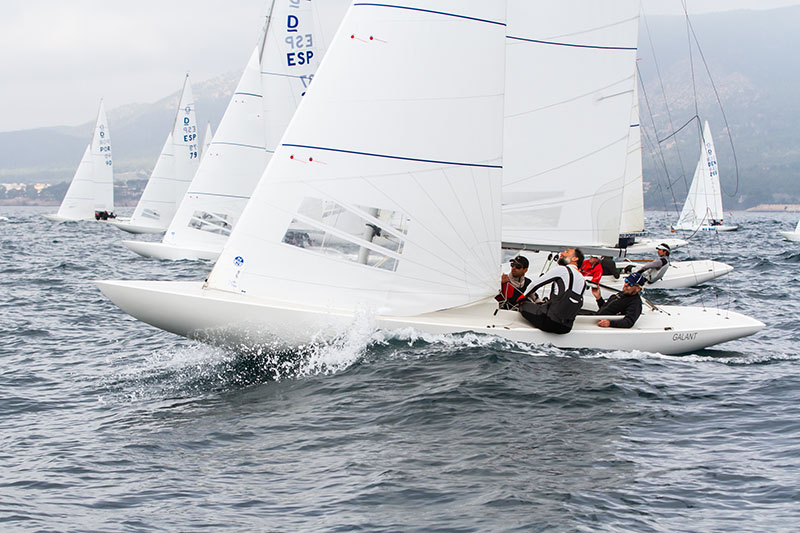 El fuerte viento pone a prueba a los dragones en Puerto Portals