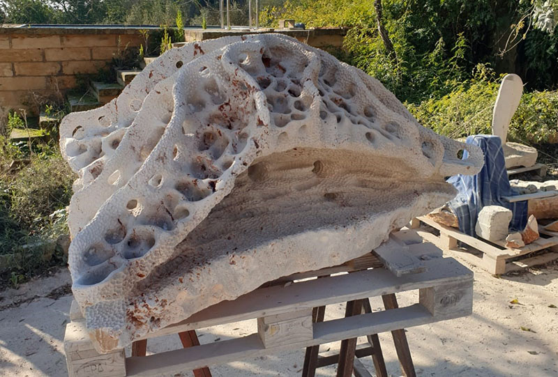 Los puntos de fondeo, ¿un refugio para la vida?