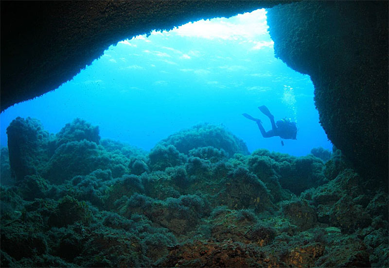 SOS Patrimoni: la nueva aplicación para comunicar hallazgos arqueológicos bajo el mar