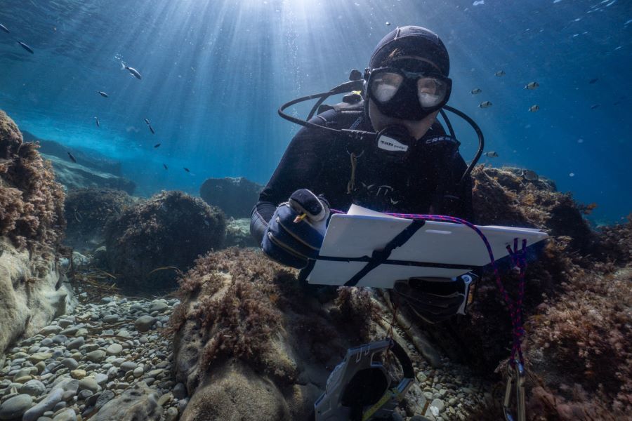 La isla del Toro atrae a los buceadores recreativos
