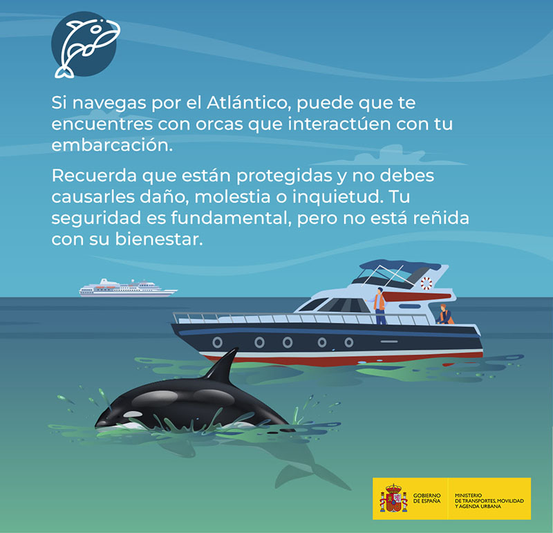 Marina Mercante: “Las orcas están protegidas y no debes causarles daño”