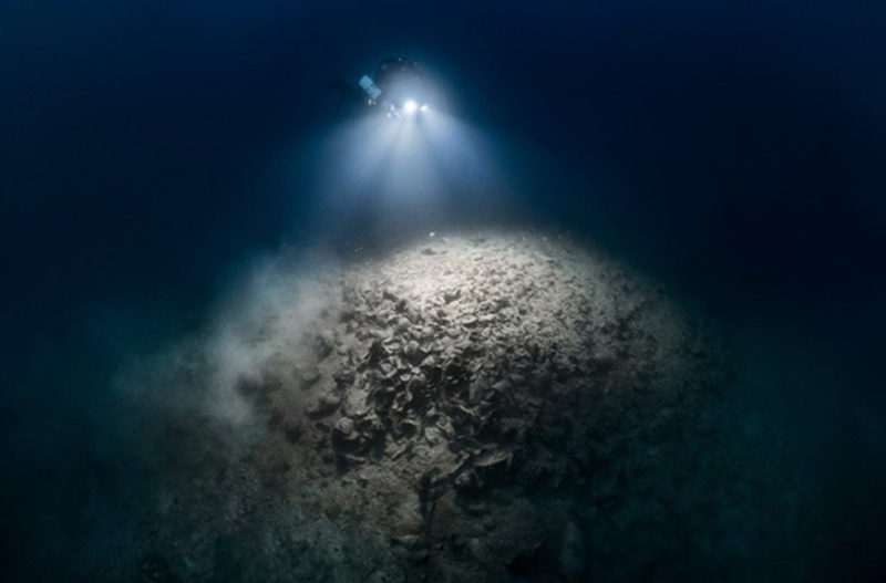 Marina Ibiza, comprometida con la arqueología subacuática