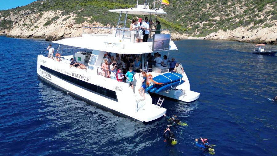 Los caballitos de mar vuelven a nadar en su hábitat