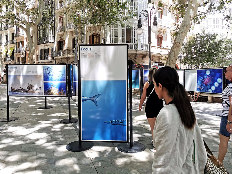 MARE, la belleza y la fragilidad del Mar Balear en imágenes