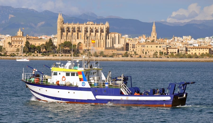 Sale a licitación el proyecto de la nueva sede del Oceanográfico