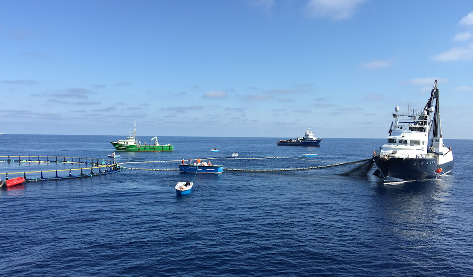 Las redes, el punto débil en la vigilancia al cerco