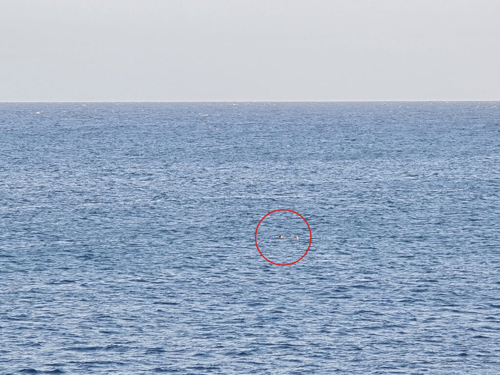 Imprudencia en Portocolom: baño a 500 metros de la costa