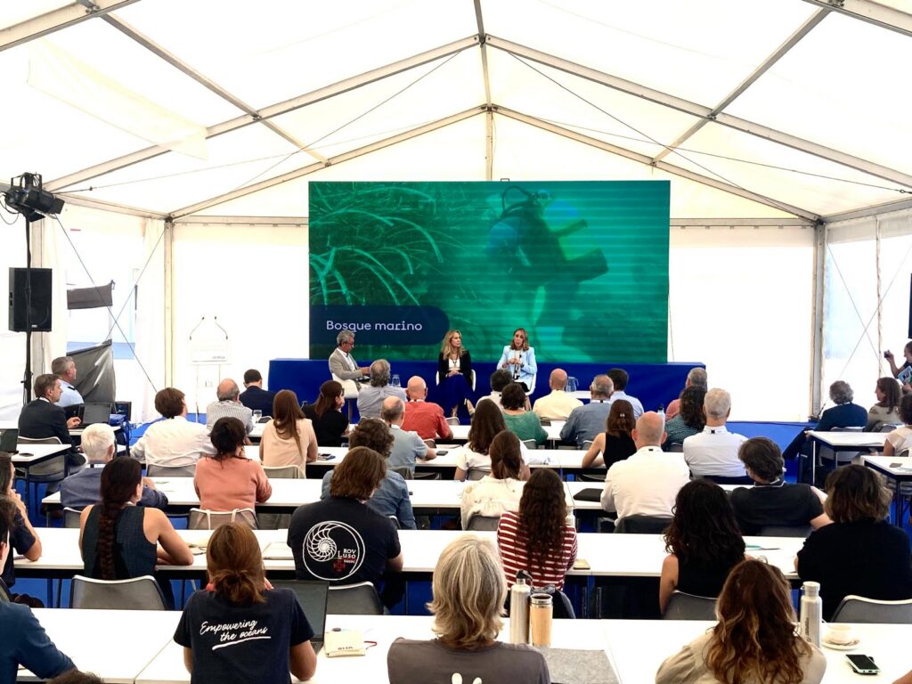 Redeia expande sus bosques marinos tras el éxito de la replantación de posidonia en Pollença