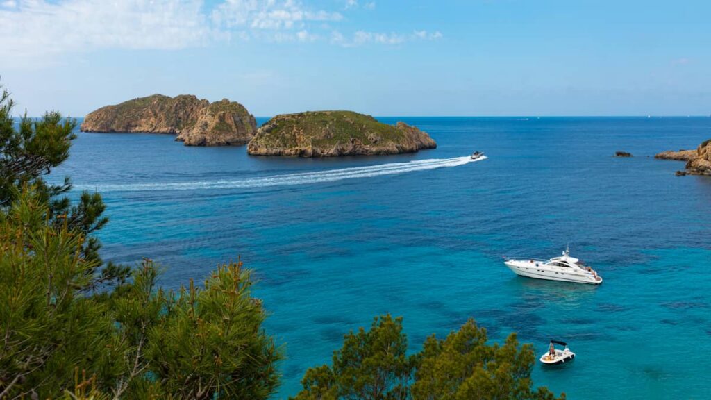 Ecologismo de papel mojado