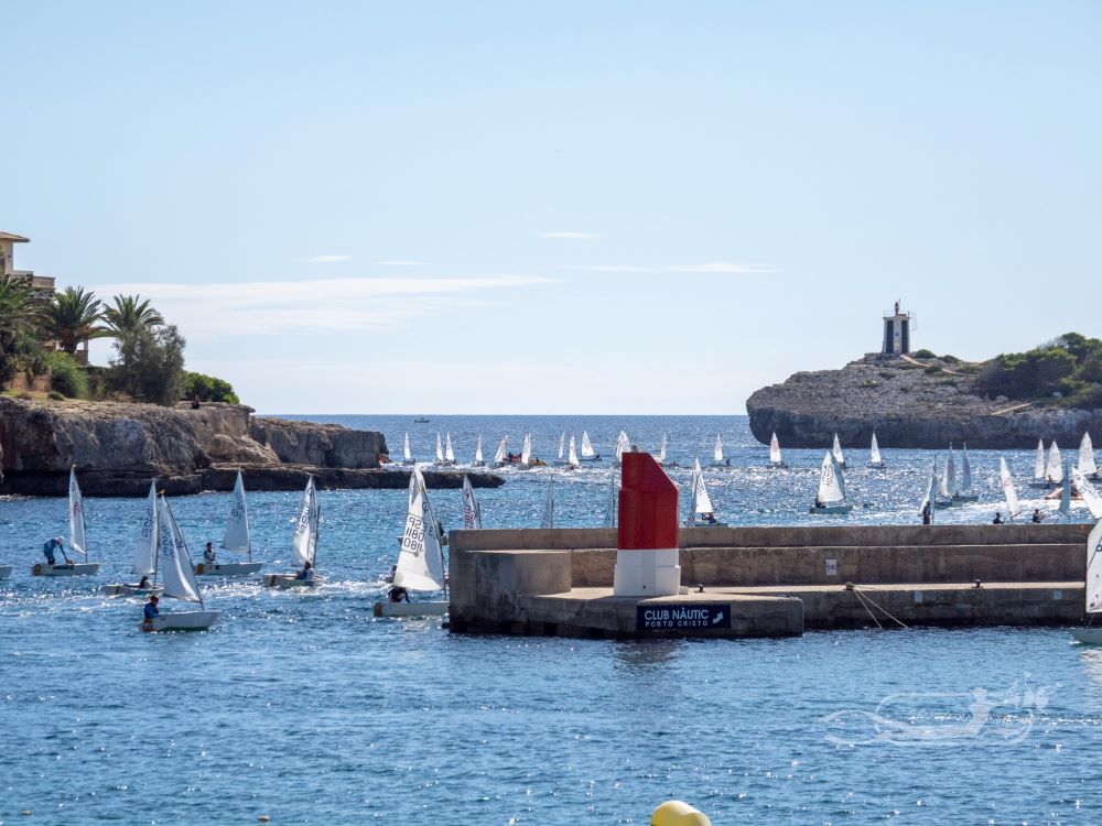 Los regatistas de Optimist llenaron el Club Nàutic Porto Cristo