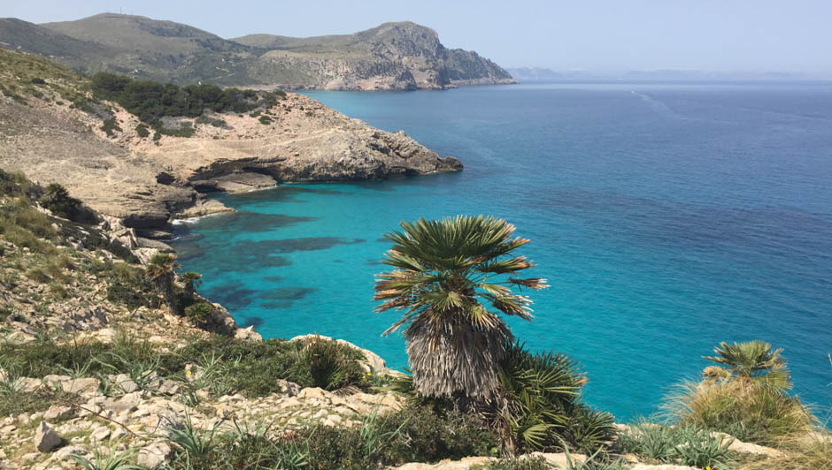 La Mallorca Science School reunirá a jóvenes investigadores