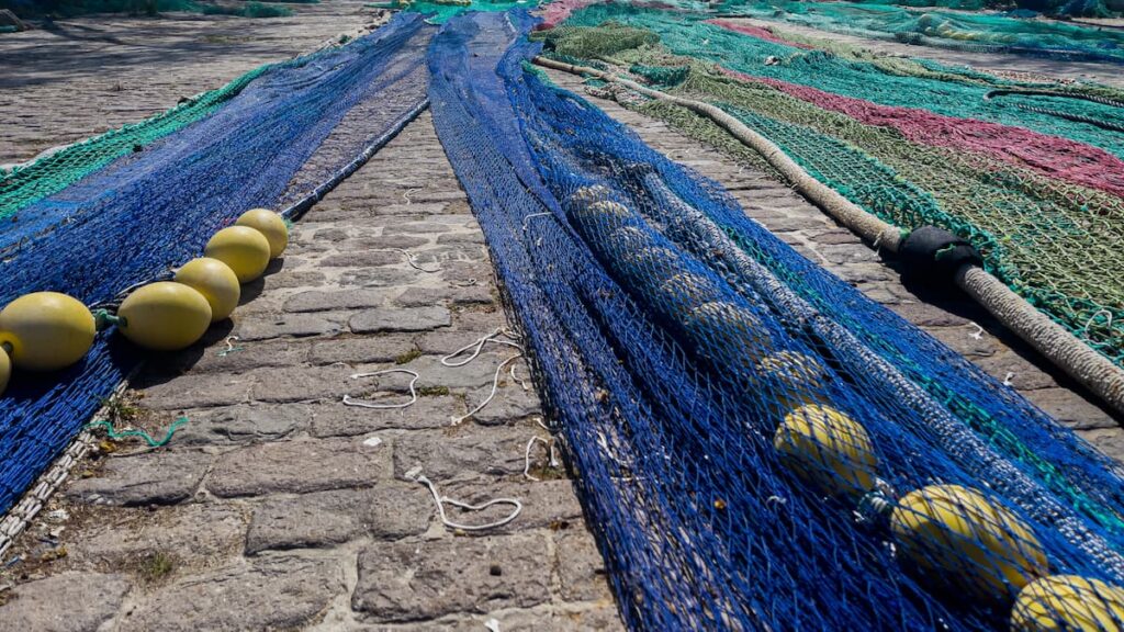 Sentencia de muerte para la pesca profesional en Baleares