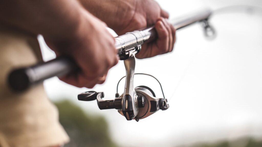 Los pescadores de recreo deberán notificar sus capturas cada mes a partir de 2026