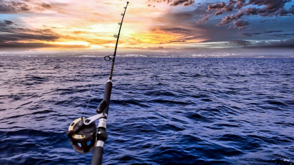 Pesca recreativa vs pesca profesional: un equilibrio necesario